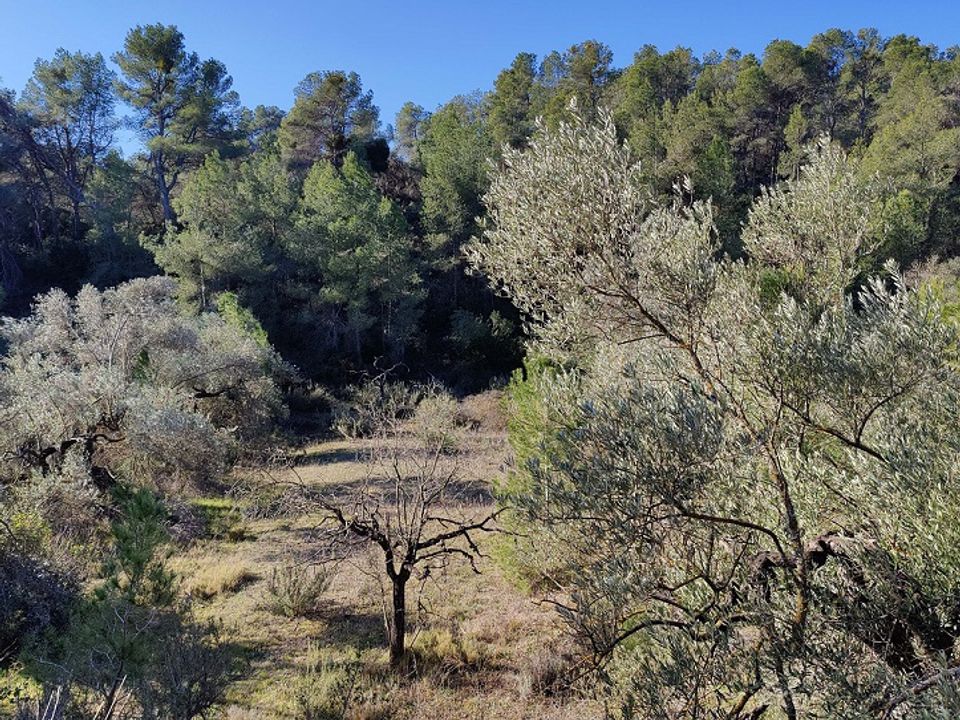 Plot of land for sale in Mora D'ebre, Tarragona province € 28,000